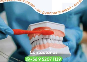 MQ Dental